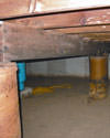 Mold and rot thriving in a dirt floor crawl space in Boston