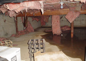 Fiberglass dripping off of the ceilings of a Somerville crawl space