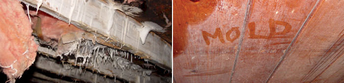 Home Mold in MA, including Lowell, Boston & Lynn.