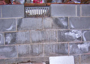 Open crawl space vents allowing in humidity and water in Everett