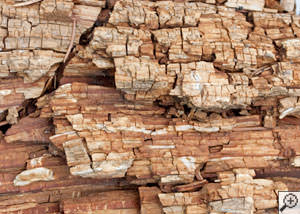 Dry rot damage on wood in Beverly