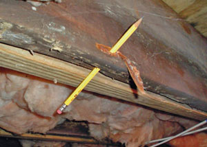 Destroyed crawl space structural wood in Woburn