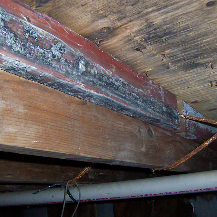 Replacement Of Mold Damaged Wood In Boston Lowell Cambridge Repairing Wood Damaged By Rot Mold Termites Pests In Boston Cambridge Lowell Nearby