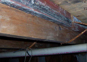Rotting, decaying wood from mold damage in Gloucester