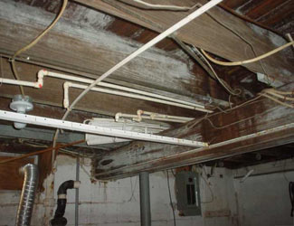 a humid basement overgrown with mold and rot in Arlington