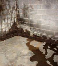 Water seeping through a concrete wall in a Marlborough basement