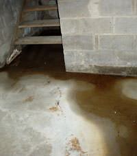 Flooding floor cracks by a hatchway door in Melrose
