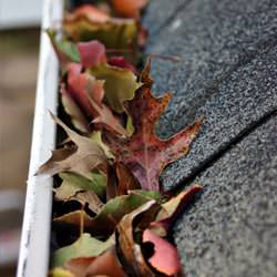 Clogged gutters filled with fall leaves  in Dracut
