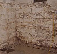 Peeling, Chipping, Basement Wall Coatings in Gloucester