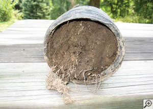 clogged french drain found in Melrose, Massachusetts