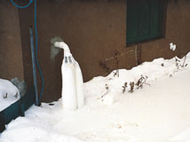 IceGuard® Installed Lynn