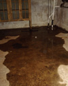 Wet basement repair in Lowell & nearby
